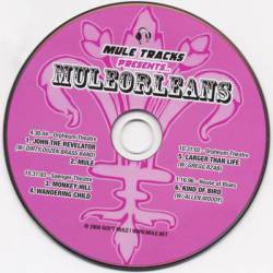 Gov't Mule : Muleorleans